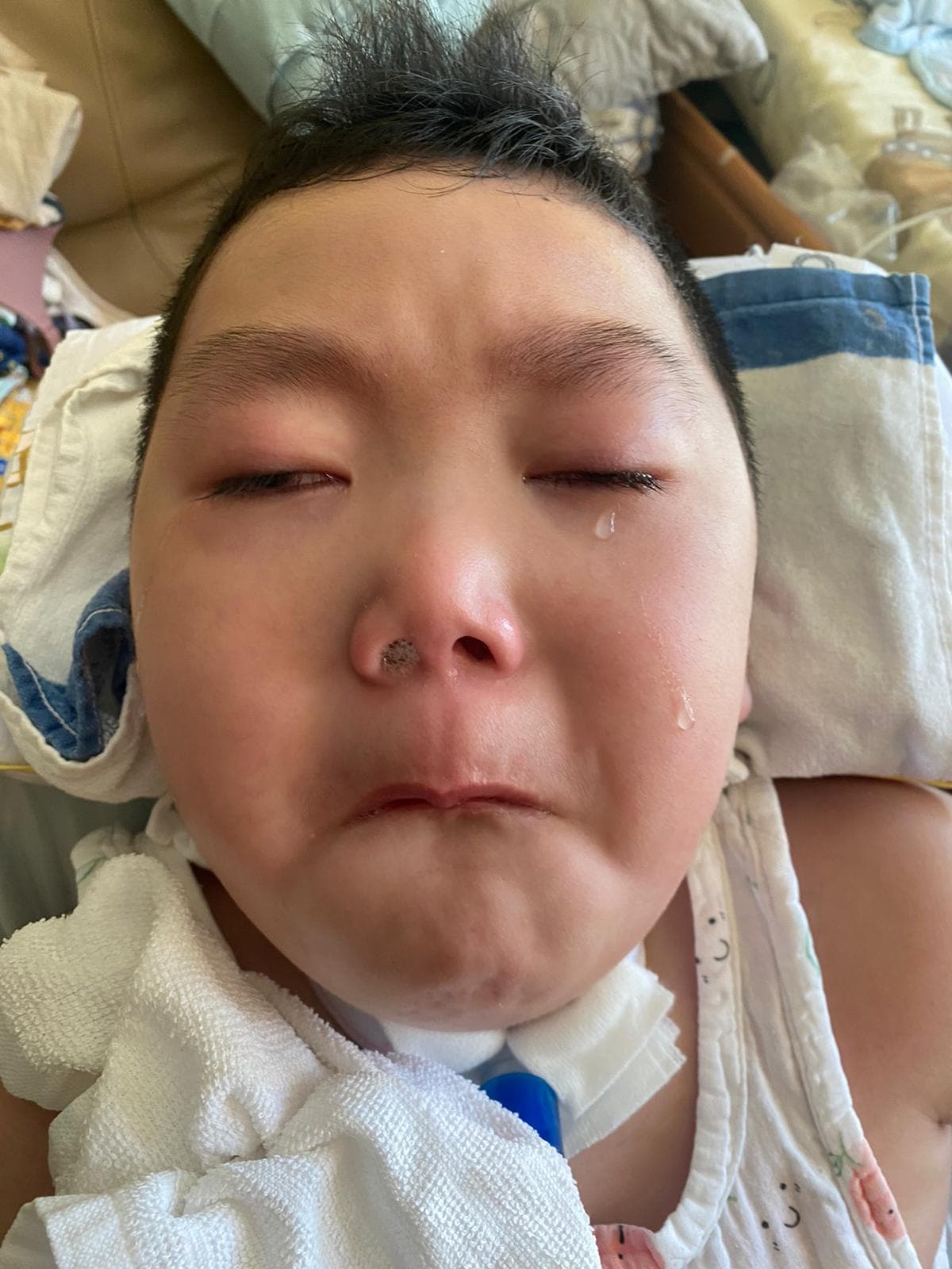 相片 40