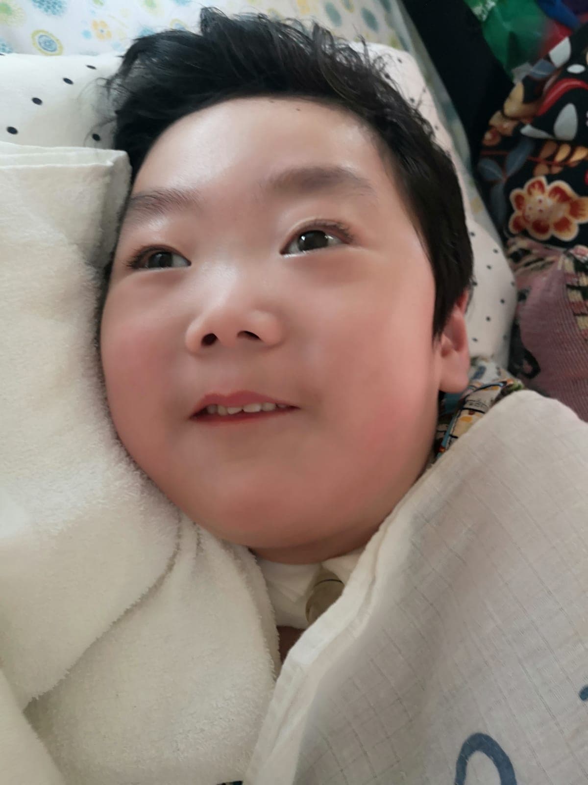 相片 46