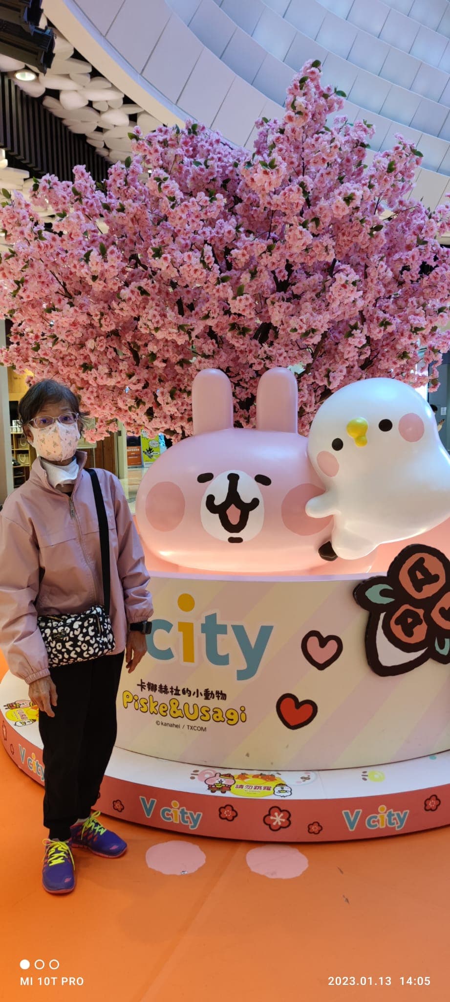 相片 52
