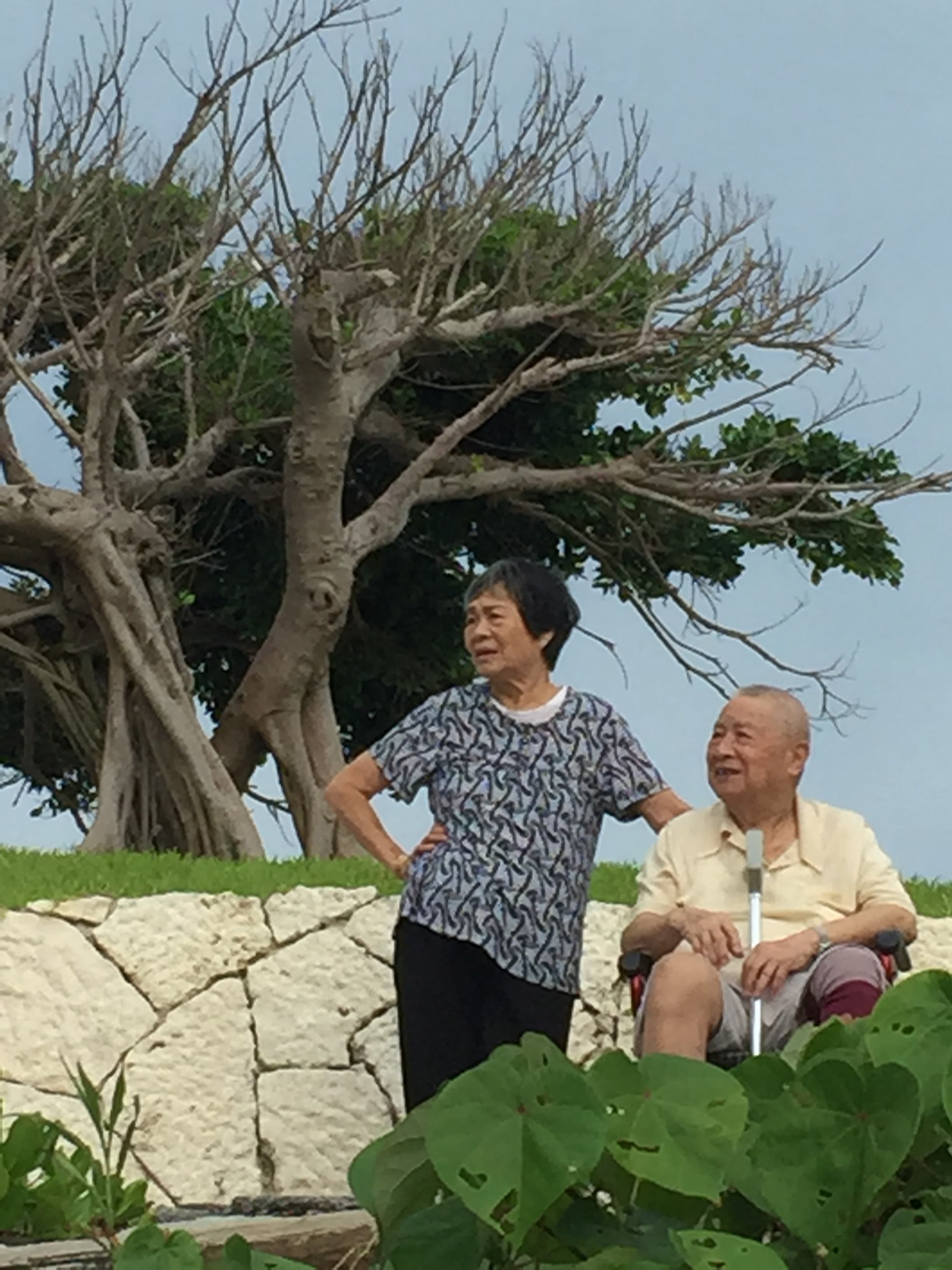 相片 41