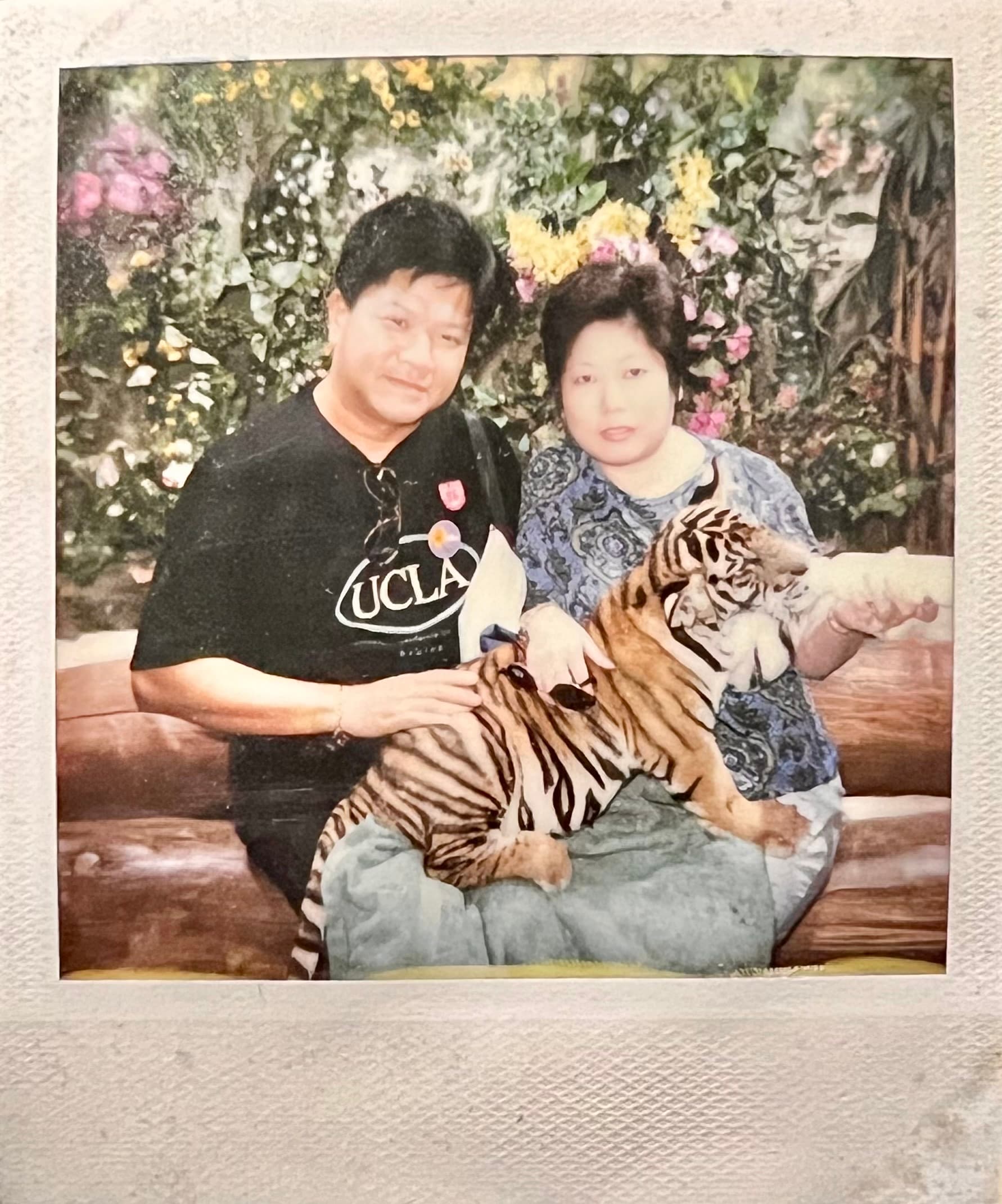 相片 48